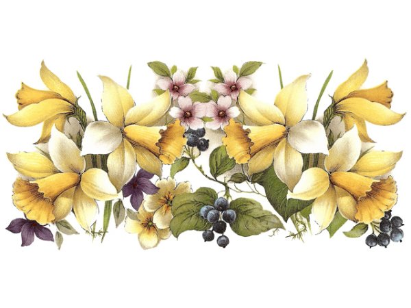 画像1: DAFFODIL MUG (1)