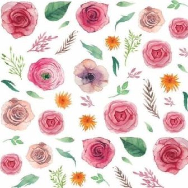 画像1: Anemone (1)