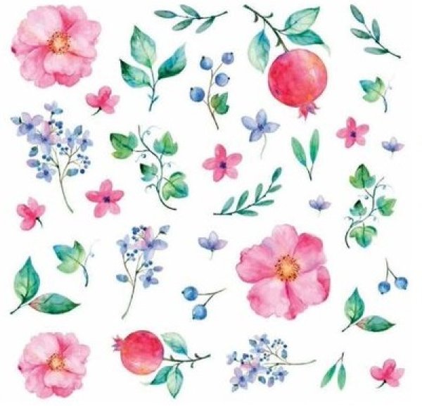 画像1: Pomegranate (1)