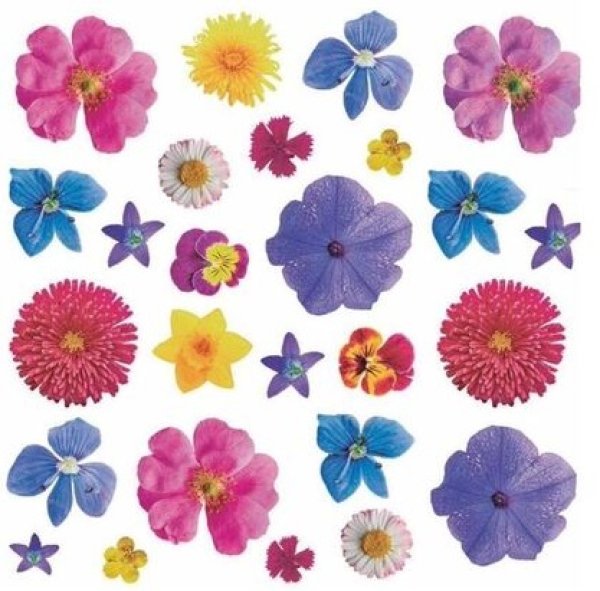 画像1: Set of Flowers (1)