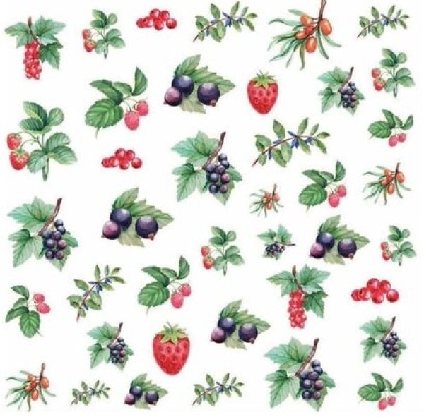 画像1: Water Color Berries (1)