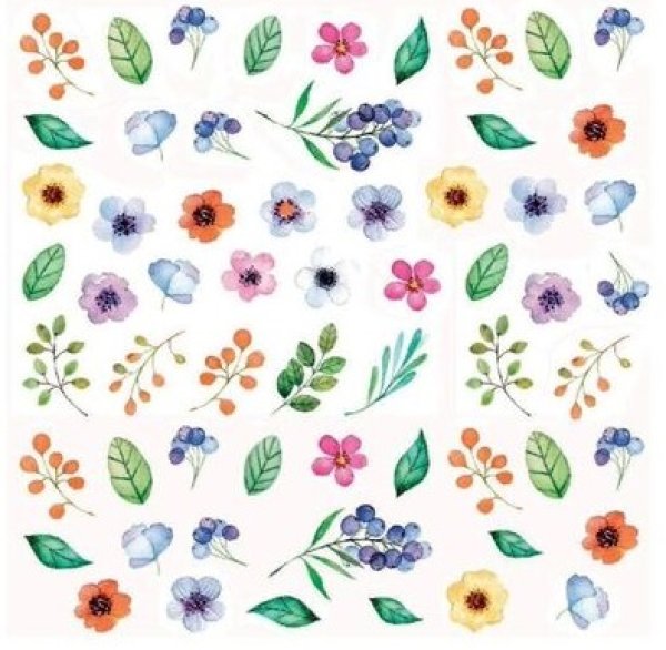 画像1: Colorful Flora (1)