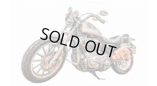 画像1: Wild Spirit (1)