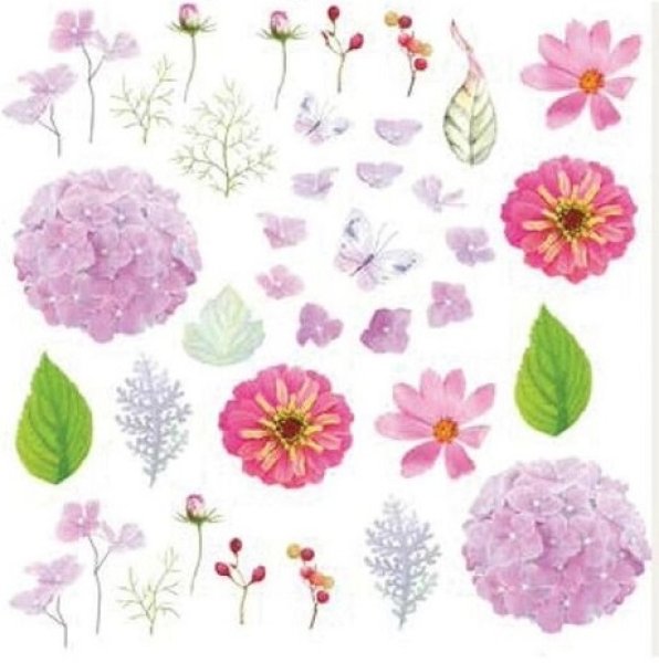画像1: Hydrangea (1)
