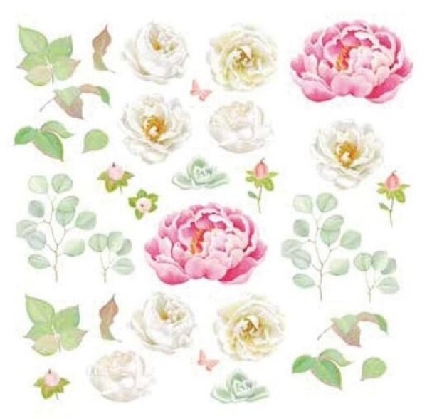 画像1: White Roses (1)