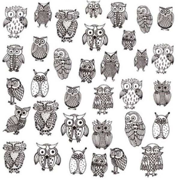 画像1: Funny Owls (1)