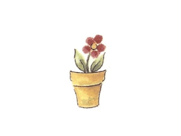 画像1: PLANT POT (1)