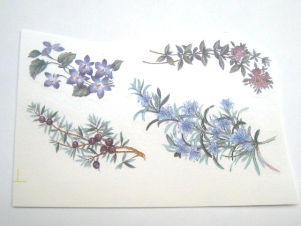 画像1: KITCHEN GARDEN (1)