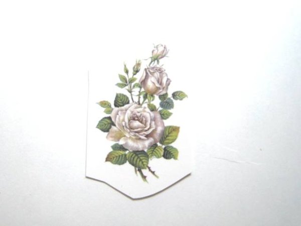 画像1: SILVER ROSE (1)