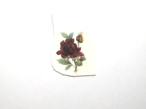 画像1: RUBY ROSE (1)