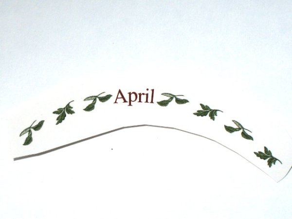 画像1: FLOWERS OF THE MONTH (1)