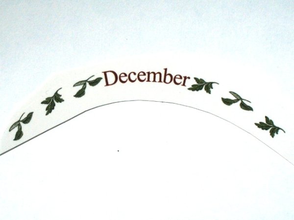 画像1: FLOWERS OF THE MONTH (1)