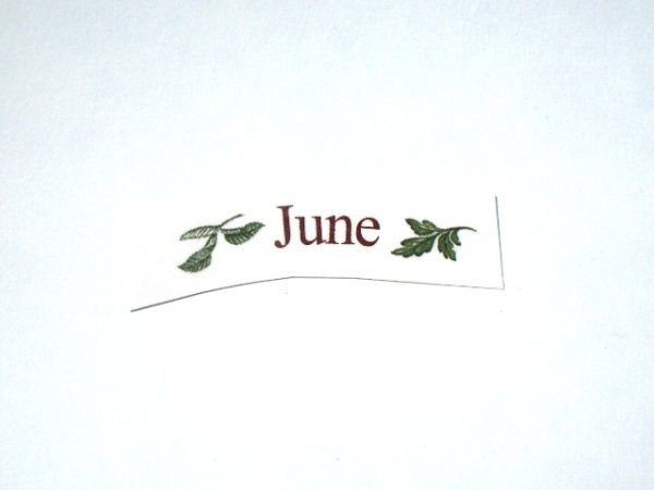 画像1: FLOWERS OF THE MONTH (1)