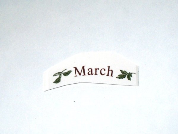 画像1: FLOWERS OF THE MONTH (1)