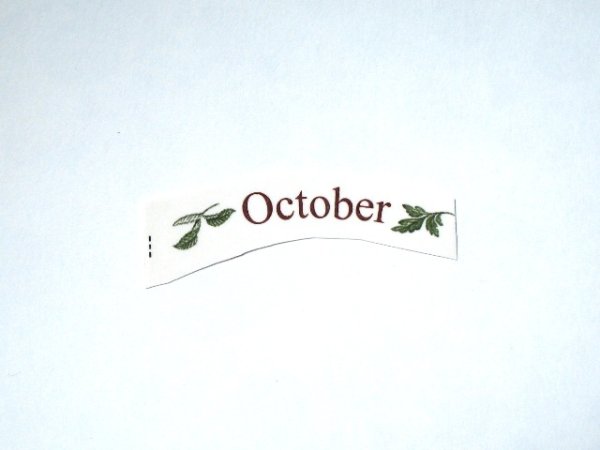 画像1: FLOWERS OF THE MONTH (1)