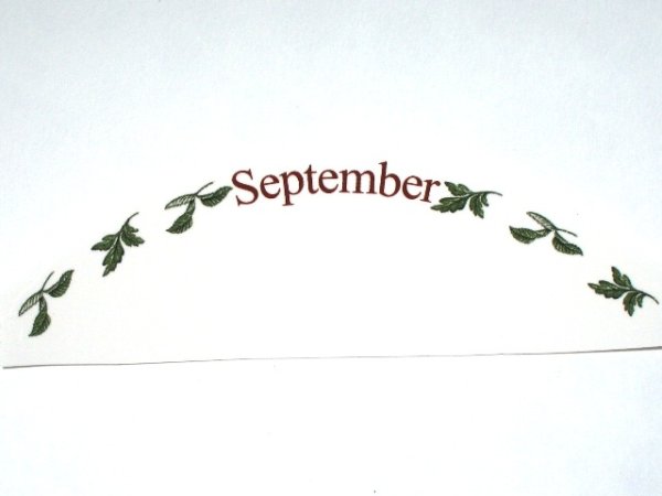 画像1: FLOWERS OF THE MONTH (1)