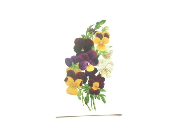 画像1: JANUARY (1)