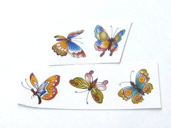 画像1: ORIENTAL GARDEN (1)