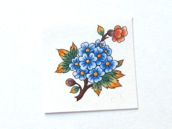 画像1: ORIENTAL GARDEN (1)