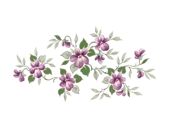画像1: SCATTER VIOLETS (1)