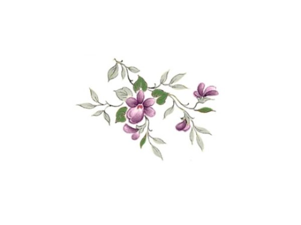 画像1: SCATTER VIOLETS (1)