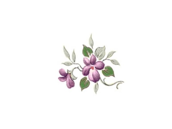 画像1: SCATTER VIOLETS (1)