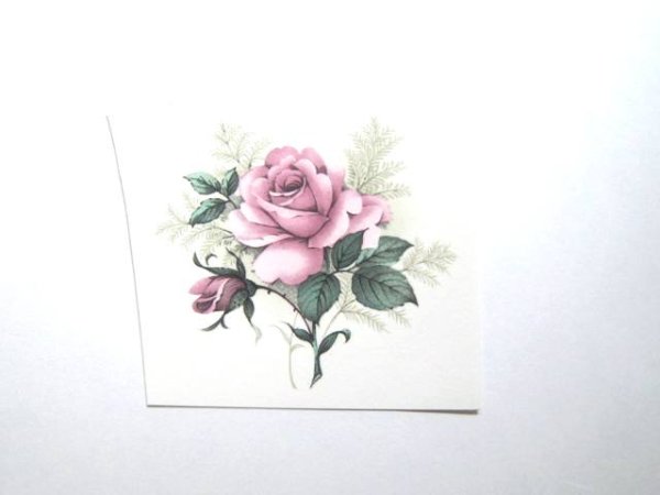 画像1: CLAREMONT (1)