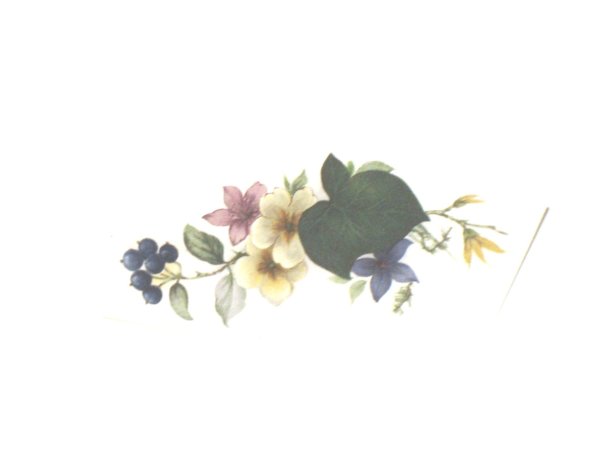 画像1: SPRING SPRAYS (1)