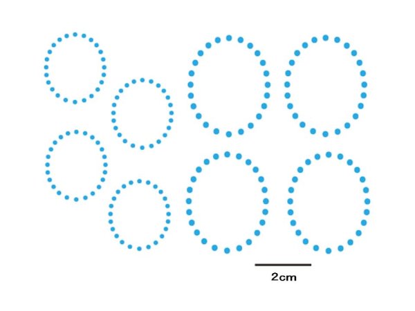 画像1: KAKOMI　DOT (1)