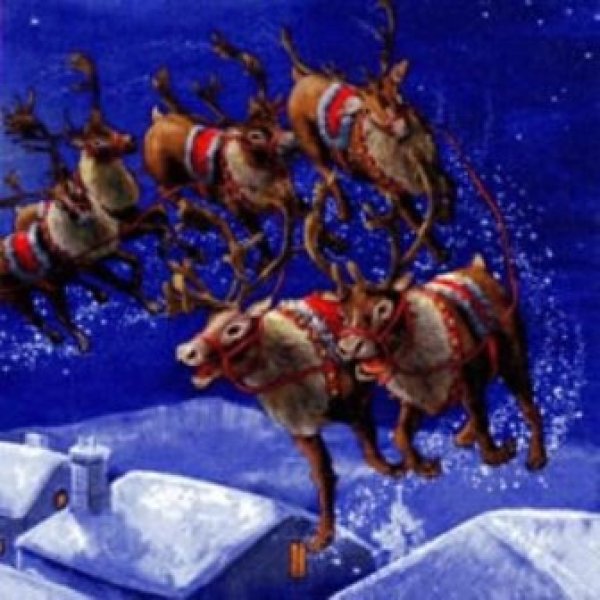 画像1: 【ナプキン】 Wilde Ride with Santa (1)