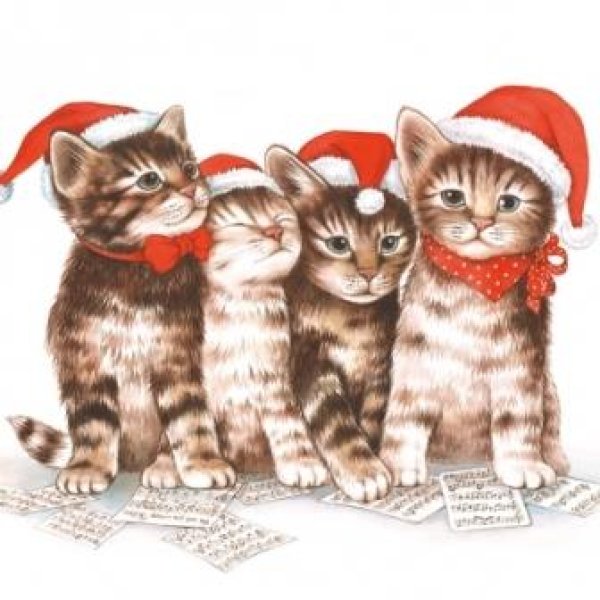 画像1: 【ナプキン】 Singing Cats (1)
