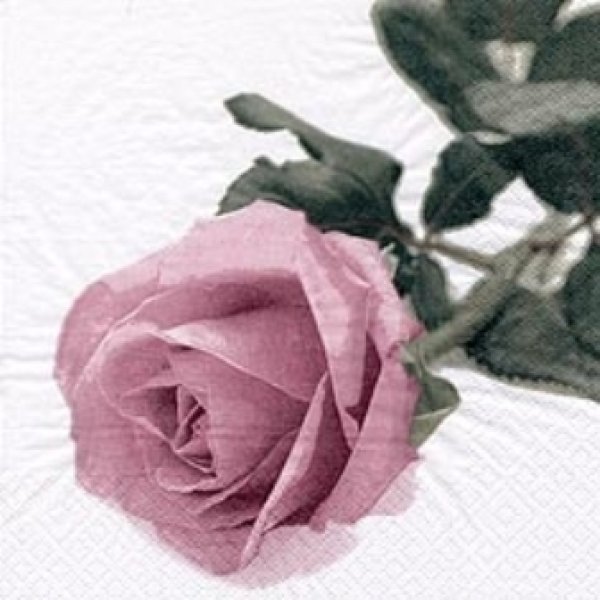 画像1: 【ナプキン】 Rosa Nobile Vintage ros? (1)