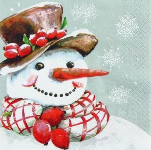 画像1: 【ナプキン】 Frosty (1)