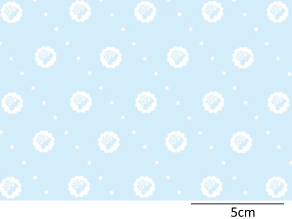 画像1: プロヴァンス　R-II (1)