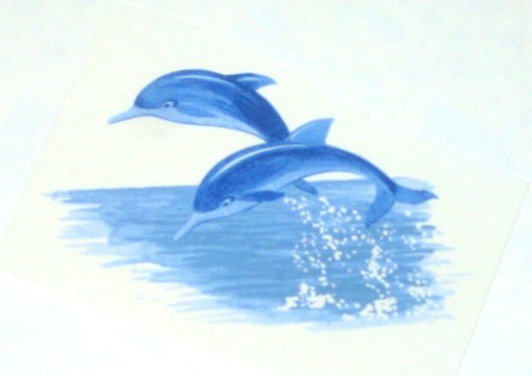 画像1: DOLPHIN (1)