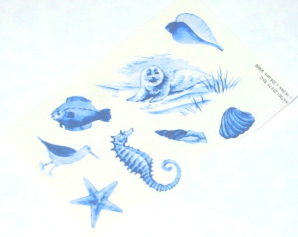 画像1: SEA (1)