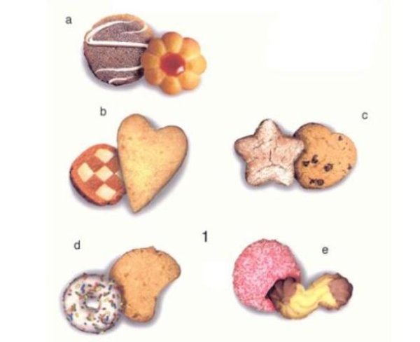 画像1: LES BISCUITS (1)