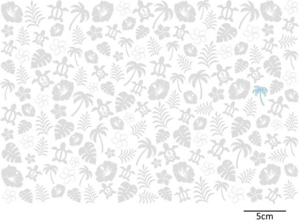 画像1: HAWAII-CHINTZ (1)