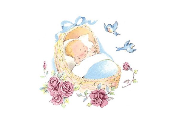 画像1: DREAMLAND (1)