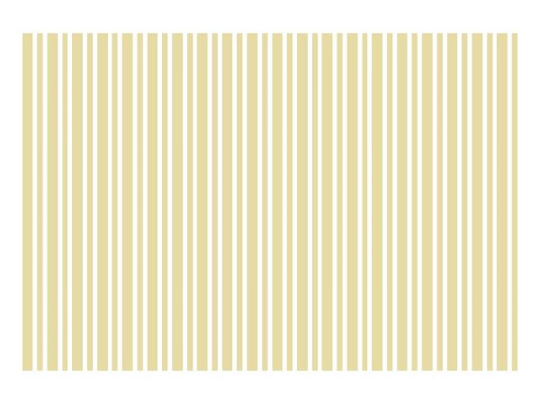 画像1: ストライプ　4mm+2mm (1)