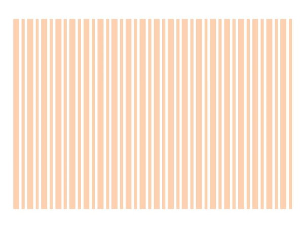 画像1: ストライプ　4mm+2mm (1)