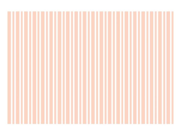 画像1: ストライプ　4mm+2mm (1)