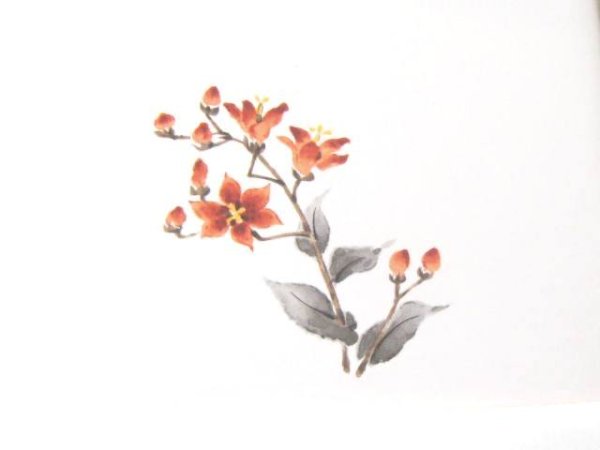 画像1: 草花 (1)