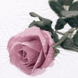 画像: 【ナプキン】 Rosa Nobile Vintage ros?