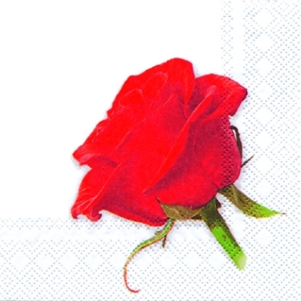 画像1: 【ナプキン】 Valentine rose
