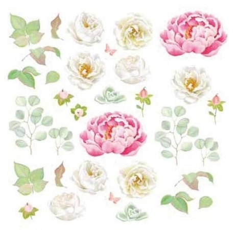 画像1: White Roses