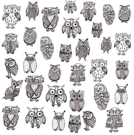 画像1: Funny Owls
