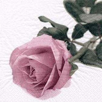 画像1: 【ナプキン】 Rosa Nobile Vintage ros?